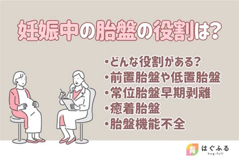 胎盤形成時期|【医師監修】胎盤の役割・構造は？完成する時期や変。